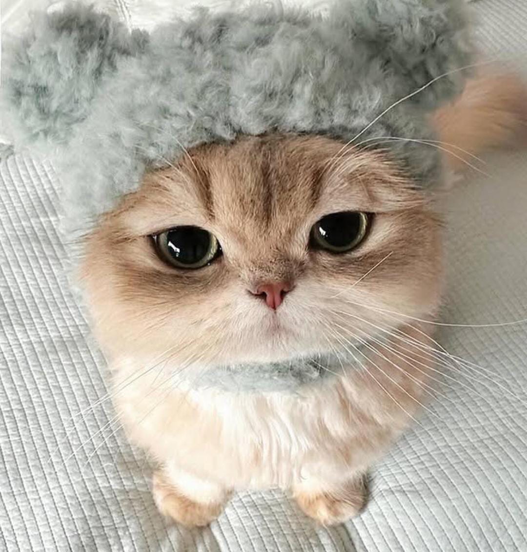 Sukhmanpreetkaur's Photo